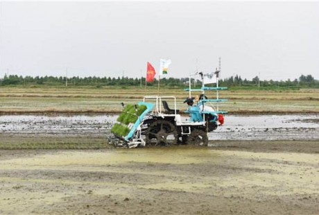 相城一名新型職業(yè)農民用上智能無人駕駛插秧機