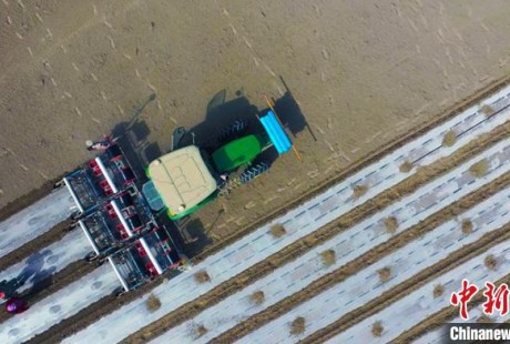 無人駕駛拖拉機(jī)助力新疆春耕