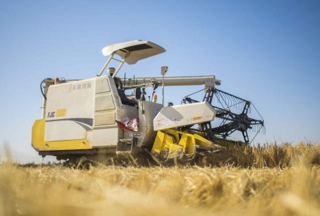 俄儲蓄銀行行長試乘使用該行AI技術的無人駕駛聯(lián)合收割機