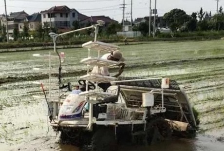 寧波慈溪引進(jìn)首臺(tái)無(wú)人駕駛插秧機(jī)，搭載北斗導(dǎo)航駕駛系統(tǒng)