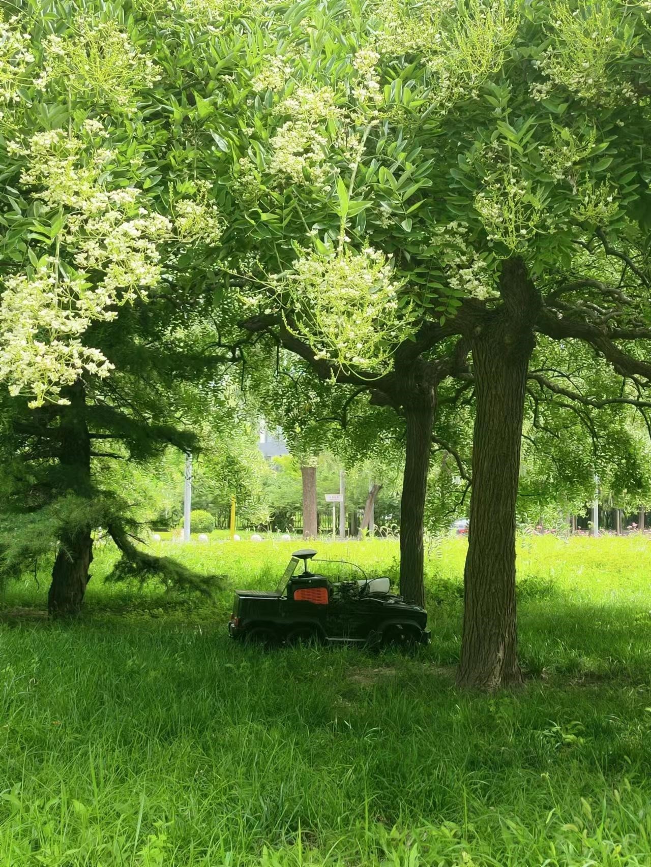 嚴(yán)重遮擋-移動(dòng)站遮擋場(chǎng)景